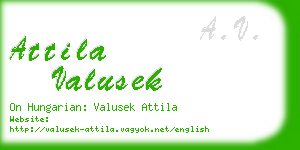 attila valusek business card